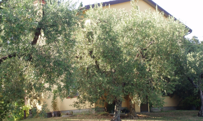 Casa Vacanze Montecatini Terme